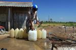 Nước mắt của nhà nông